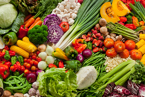An assortment of various vegetables collected