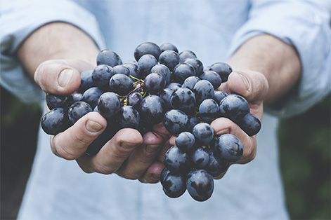 A handful of grapes.