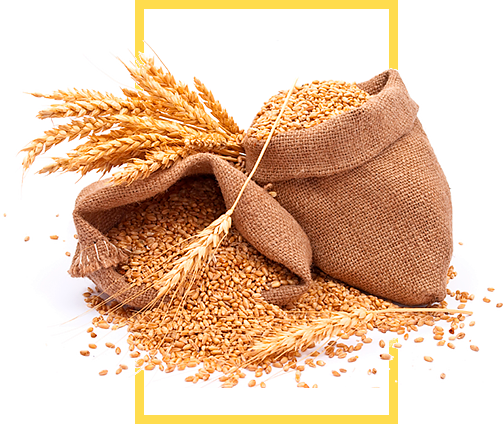 Sack full of Millets