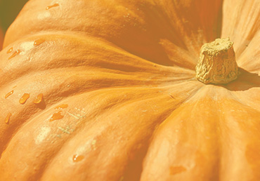 Organic diet food/fruits.